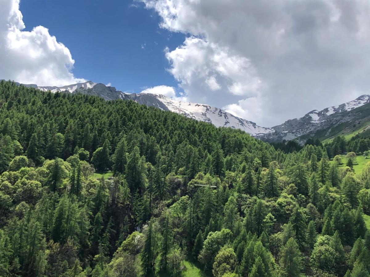 Foux D'Allos - Appartement Charmant Et Fonctionnel Екстериор снимка